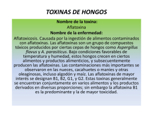 TOXINAS_DE_HONGOS