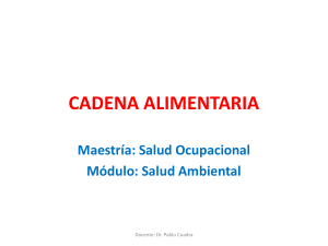 CADENA ALIMENTARIA