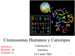 Lab_7_Cromosomas Humanos y Cariotipos