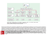 Slide 1 - HarrisonMedicina