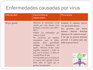 Enfermedades causadas por virus