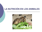 Nutricion_en_animales_I.pps - Universidad Laboral de Málaga