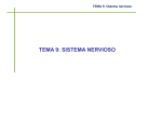 Tema 9-2 Sistema ner