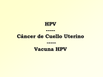 HPV - Cofatuc