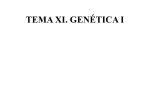 Biología. 2º Bachillerato. Tema 10: Genética