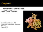 Chapter 8 The Genetics of Bacteria and Their Viruses
