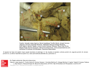 Slide 1 - Access Medicina