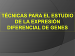 técnicas para el estudio de la expresión diferencial de genes