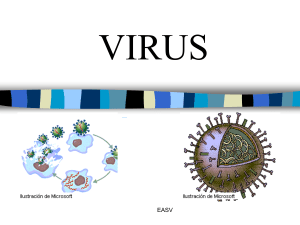 Virus