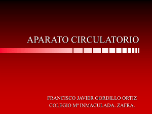 APARATO CIRCULATORIO