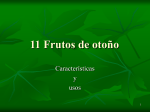 Frutos de otoño - CRA Valle de Valverde, página web