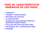 Características generales de los virus