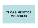 TEMA 12. La información genética: base molecular y conservación