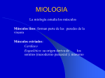 Miologia