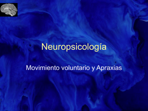 Neuropsicología - Psicología U. Autónoma.