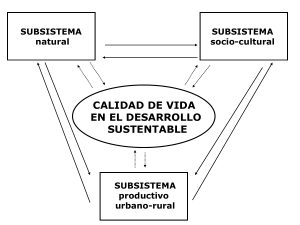 Gestión Ambiental - Yolanda Ortiz - UNIDA oct