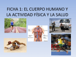 ficha 1: el cuerpo humano y la actividad física y la