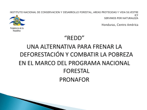 instituto nacional de conservacion y desarrollo forestal, areas