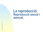 La reproducció. Reproducció sexual i asexual.