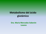 Metabolismo del ácido glutámico
