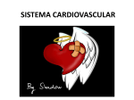 Diapositiva 1 - enfermedadescardiovasculares