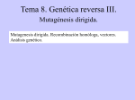 Genética reversa II. Mutagénesis dirigida. - Mi portal