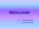 Saliva y Caries