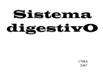 Sistema digestivO - Biblioteca del CENBA