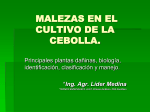 Malezas - BibliotecaDeaMag