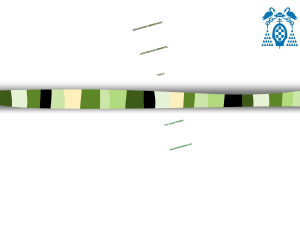 Slide 1 - Daniel Sotelsek