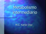 Metabolismo intermediario