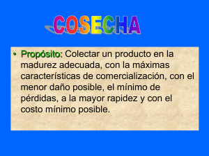 Cosecha