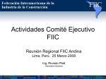 FIIC: Informe de Actividades del Comite Ejecutivo. Reunion