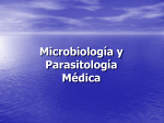 Microbiología y Parasitología Médica Competencia del Área