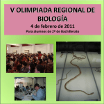 Diapositiva 1 - Universidad de Murcia