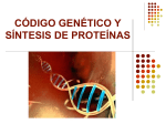 4.2 Código genético y síntesis de proteínas PRISCILA