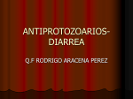 antiprotozoarios- diarrea