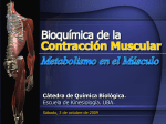 Bioquímica de la Contracción Múscular