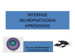 Interfase neuropsicología aprendizaje