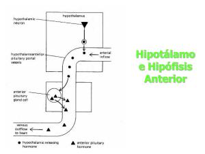 Factores Hipotalámicos