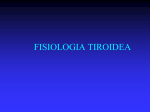 fisiologia tiroidea