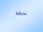 Silicio (Los Olmos 2008/09)