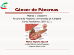 CANCER PANCREATICO