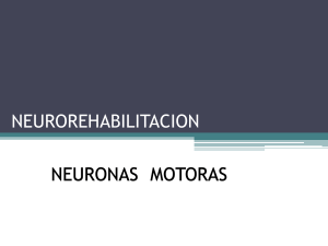 NEUROREHABILITACION