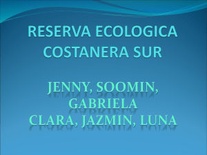 RESERVA ECOLOGICA SUR - Instituto Educativo Modelo