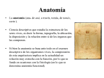 Anatomía - bionotas