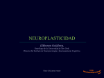 neuroplasticidad - La boutique del powerpoint