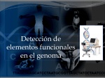 Detección de elementos funcionales del genoma