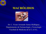 macrólidos - eTableros