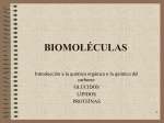 biomoléculas - IES Julian Zarco